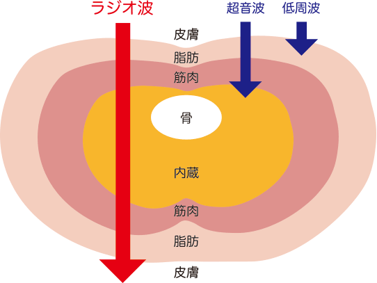 身体の奥深くまで届く